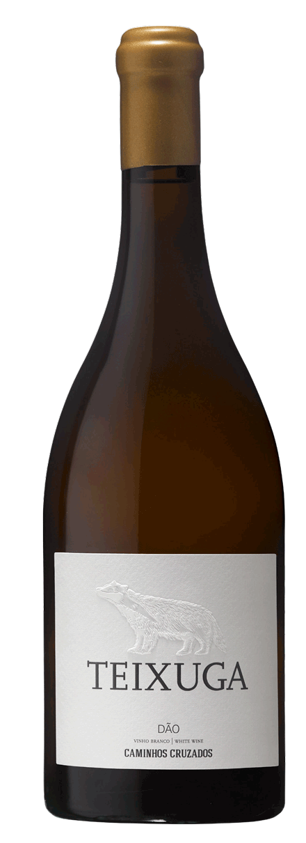 Taça de vinho branco Teixuga, copo transparente com vinho branco claro, destaque para a bebida e a taça elegante.