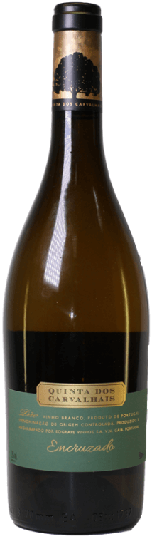 Vinho branco Quinta Carvalhais Encruzado de 2023, garrafa com rótulo elegante, refletida em fundo neutro.