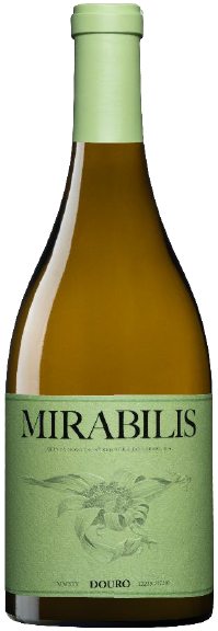 Mirabilis Weiß