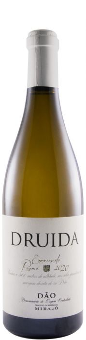 Druida Encruzado da Mira do Ó, garrafa de vinho branco com rótulo elegante, pronta para servir.