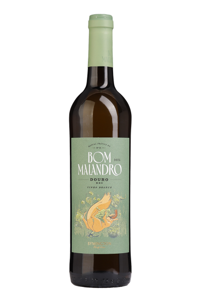 Taça de vinho branco Bom Malandro Branco, produzido pela Symigton, com rótulo e garrafa visíveis na imagem.