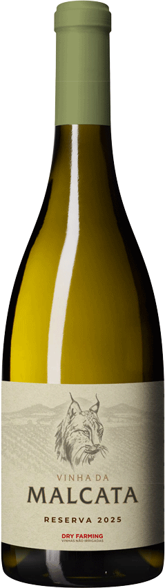 Vinha da Malcata Reserva Branco 75 cl