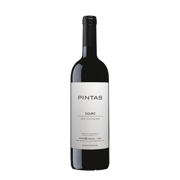 Taça de vinho tinto da Wine and Soul com vinho Pintas, mostrando o líquido vermelho e o fundo desfocado.