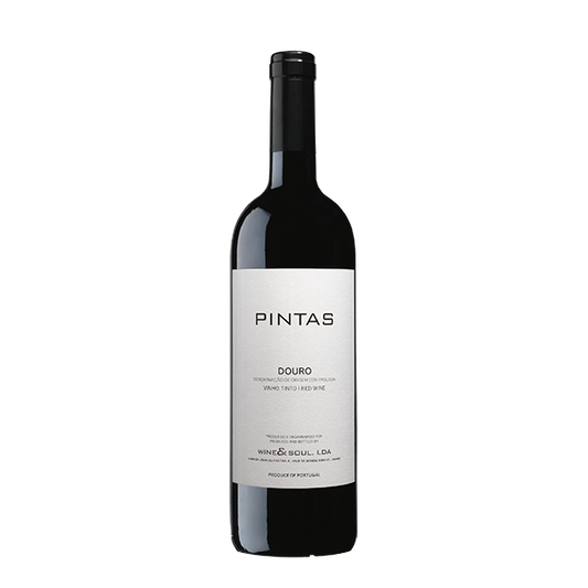 Taça de vinho tinto da Wine and Soul com vinho Pintas, mostrando o líquido vermelho e o fundo desfocado.