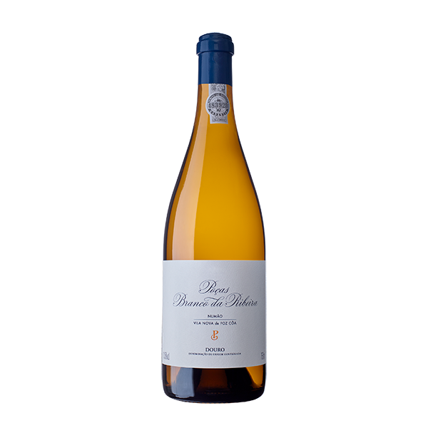 Taça de vinho branco Poças Branco da Ribeira em vidro transparente, com vinho branco na taça.
