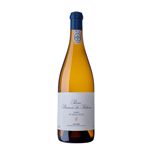 Taça de vinho branco Poças Branco da Ribeira em vidro transparente, com vinho branco na taça.