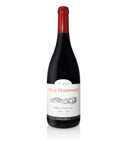 Taça de vinho tinto Valle Pradinhos Tinto, com garrafa ao fundo, destacando a coloração rubi profunda e elegante.
