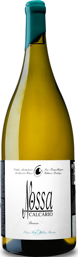 Vinho branco Nossa Filipa Pato Branco, produzido pela marca Filipa Pato, na taça com rótulo visível e fundo neutro.
