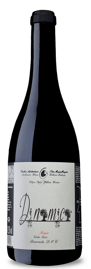 Filipa Pato Dinamic Red