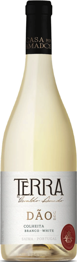 Taça de vinho branco Terra Colheita Branco da Casa dos Amados, garrafa de vinho na mesa, cenário de degustação.