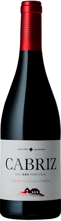 Taça de vinho tinto Cabriz Colheita Tinto Magnum, grande formato, da marca Global Wines, com rótulo visível.