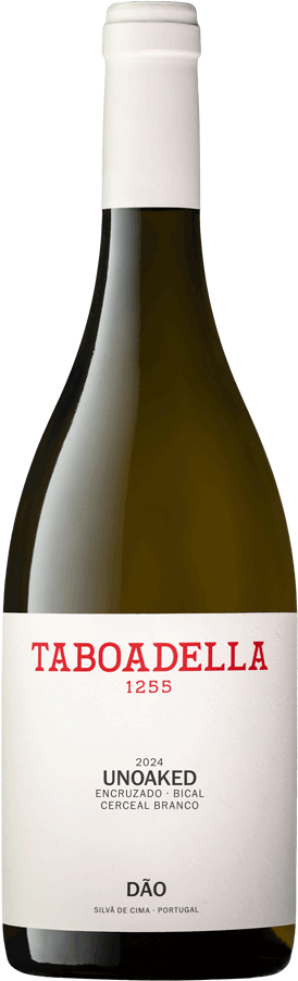 Taça de vinho branco Taboadella Unoaked Branco, garrafa de vinho branco em fundo branco.