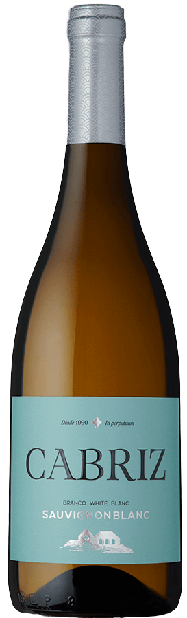 Vinho branco Cabriz Sauvignon Blanc da Global Wines, garrafa de vinho branco com rótulo elegante, fundo neutro.