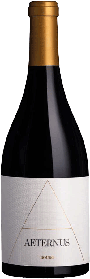 Taça de vinho tinto Quinta Nossa Senhora do Carmo Aeternus 2022, garrafa de vinho de destaque.