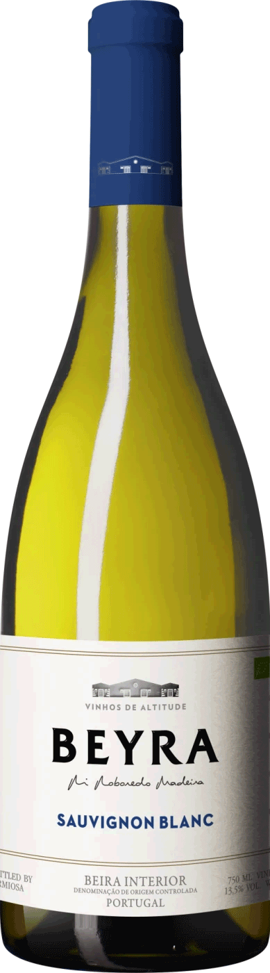 Taça de vinho branco Beyra Sauvignon Blanc da Rui Ronerdo Madeira, mostrando a cor clara e brilhante do vinho.