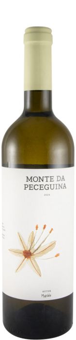 Taça de vinho branco Monte da Peceguina, produzido pela Herdade da Malhadinha, com garrafa de vinho branco na mesa.
