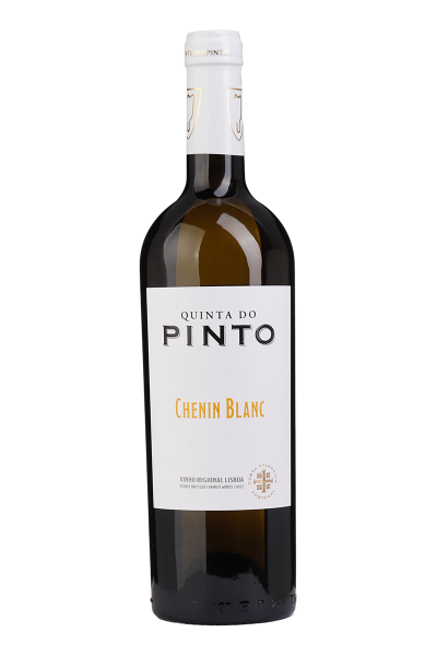 Vinho Quinta do Pinto Chenin Blanc branco 2022, garrafa com rótulo elegante, vista frontal, na taça de vinho clara e brilhante
